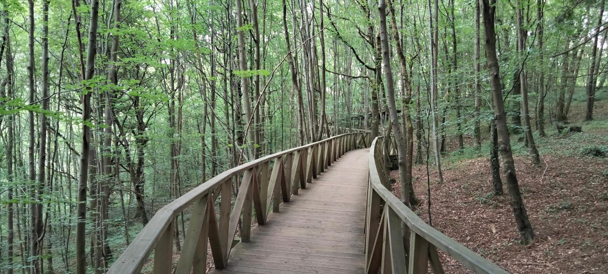 Altos De La Hayuela, A 7 Min De Comillas Luaran gambar